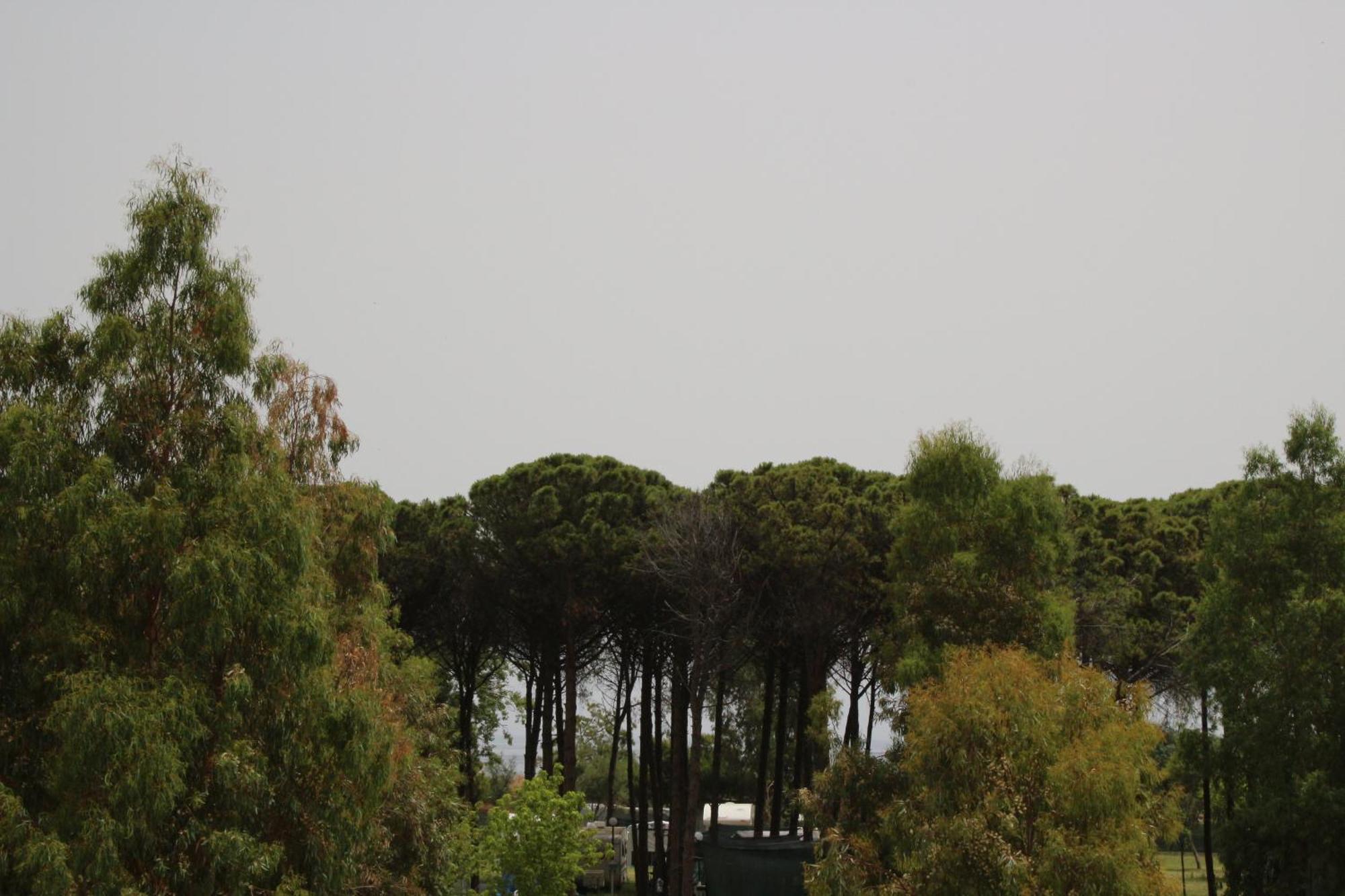 Levante Marina di Schiavonea Εξωτερικό φωτογραφία