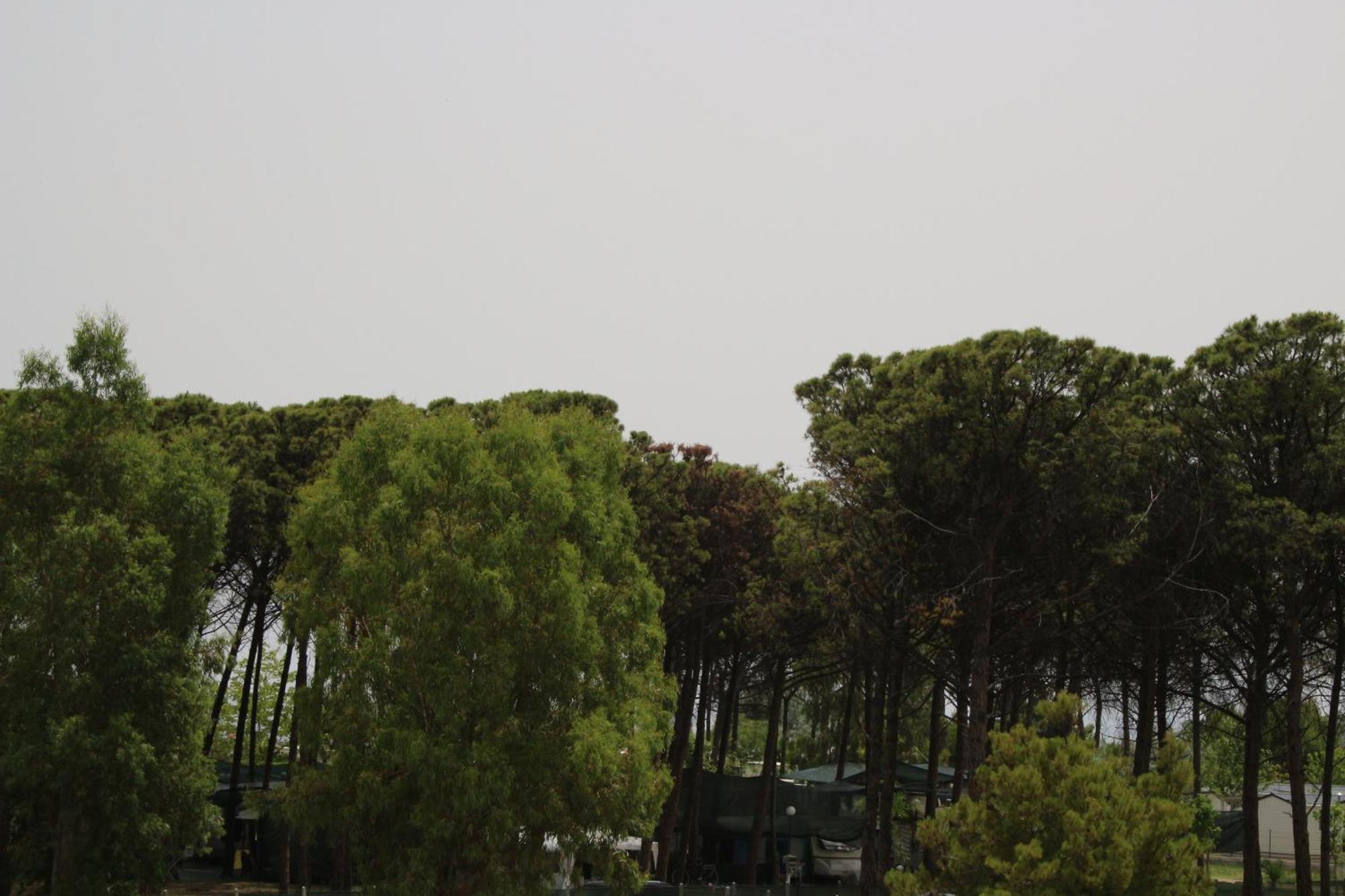 Levante Marina di Schiavonea Εξωτερικό φωτογραφία